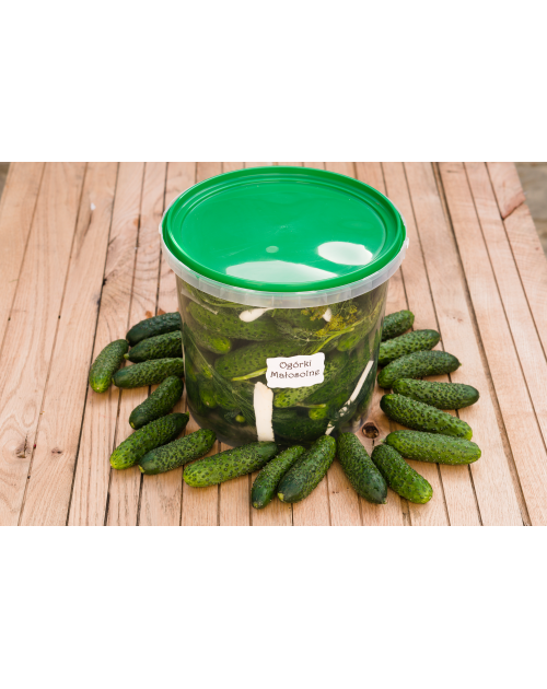ogórek małosolny polski