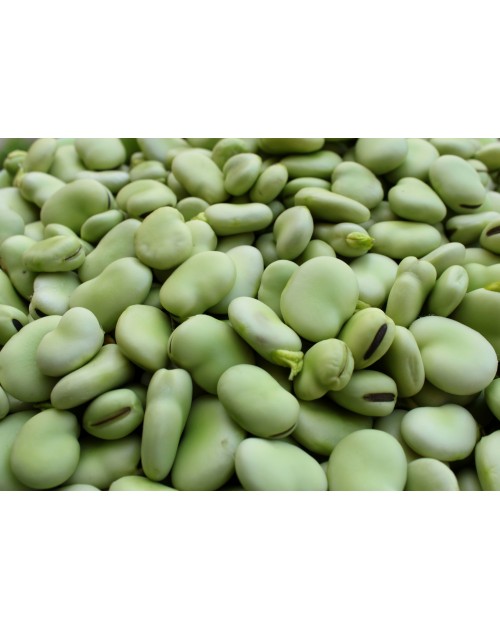 Bób 1kg