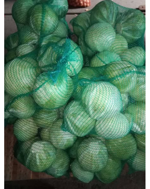 Kapusta biała 20 kg 